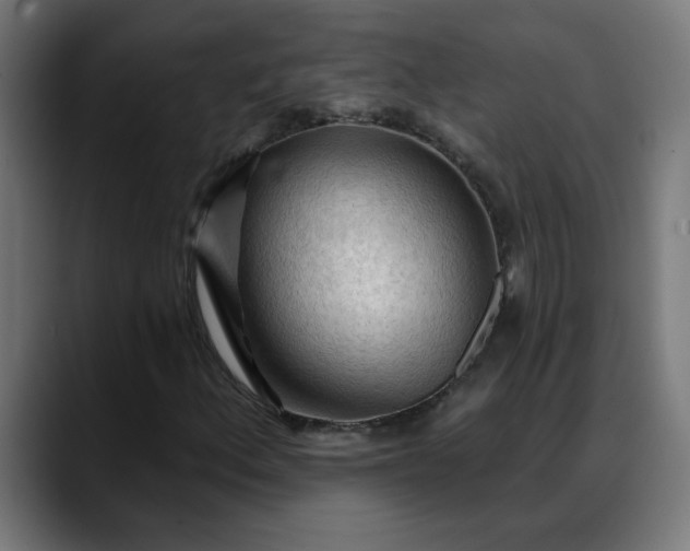 X0000088061156200705251337
