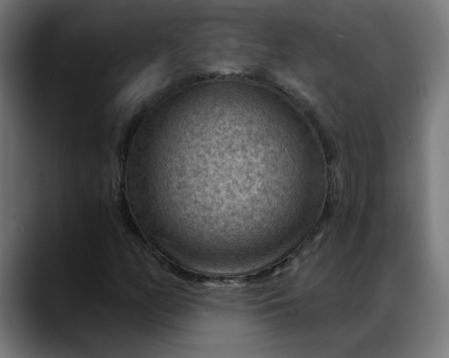 X0000088061158200705251337