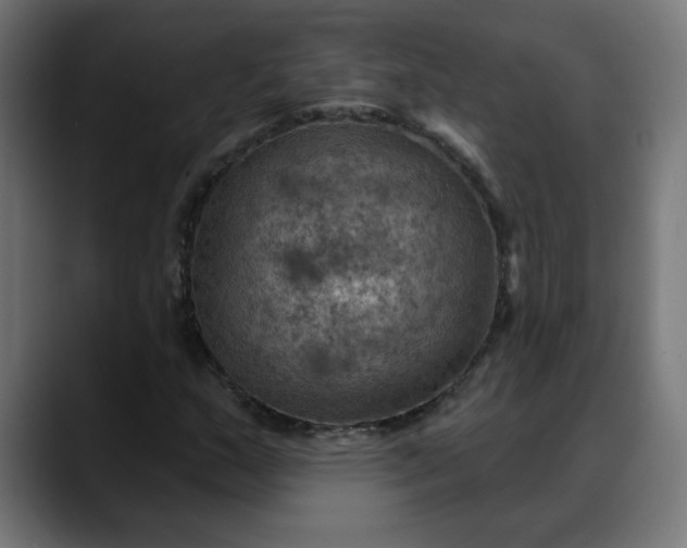 X0000088061159200705251336