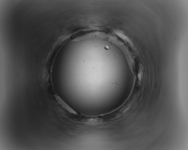 X0000088061160200705251336