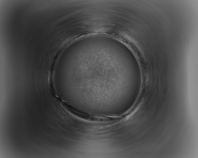 X0000088061161200705251336