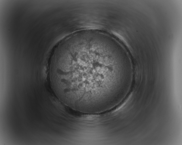 X0000088061163200705251336