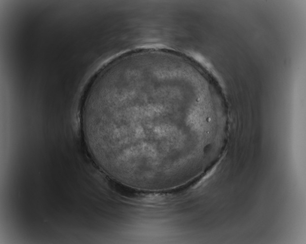 X0000088061167200705251336