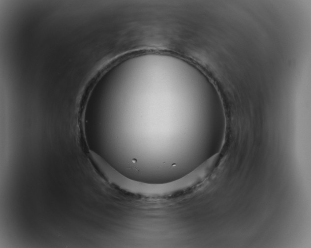 X0000088061168200705251336