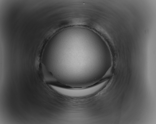 X0000088061169200705251336