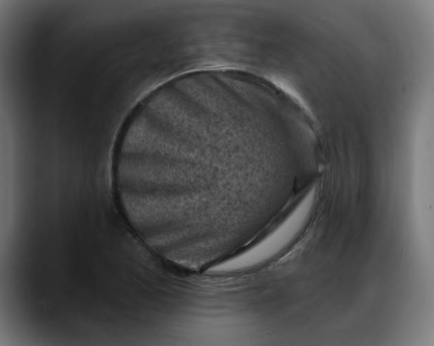 X0000088061173200705251336