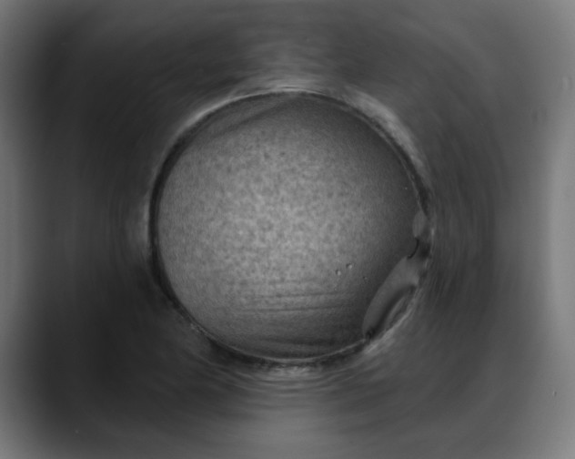 X0000088061174200705251336