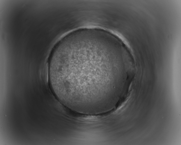 X0000088061175200705251336