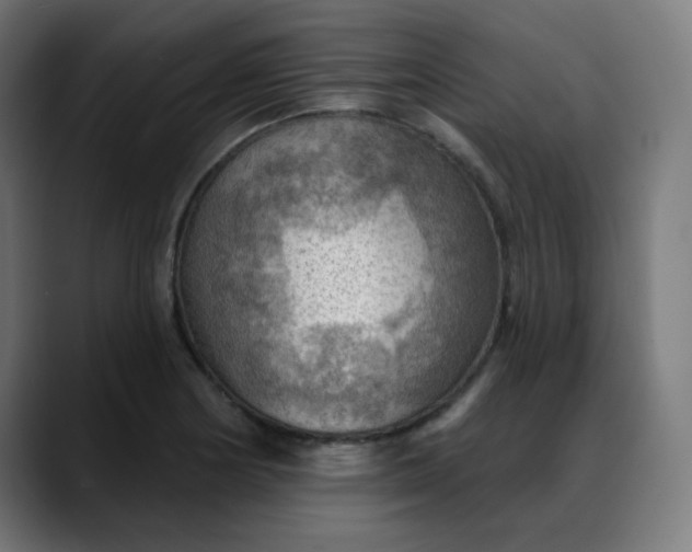 X0000088061178200705251336