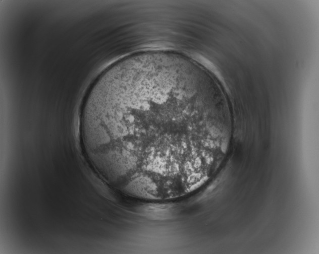 X0000088061179200705251336