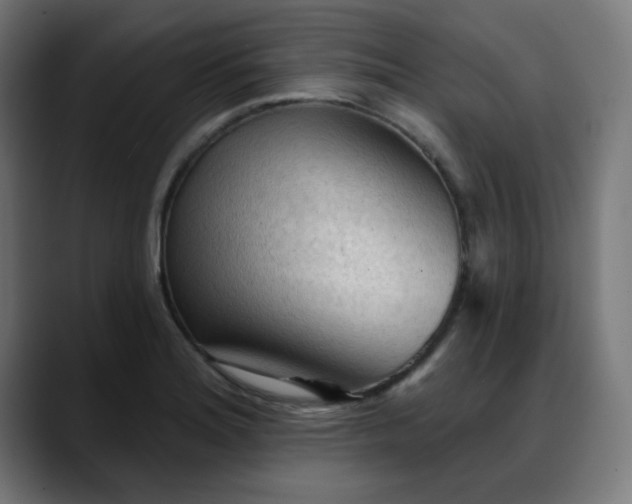 X0000088061180200705251336