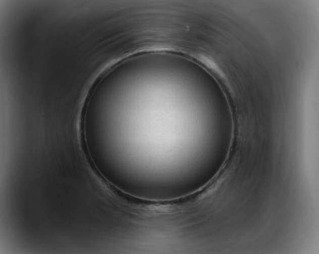 X0000088061181200705251336
