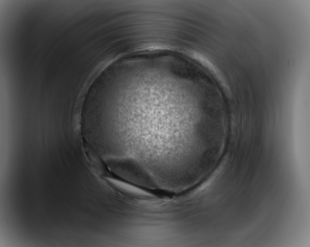 X0000088061185200705251336