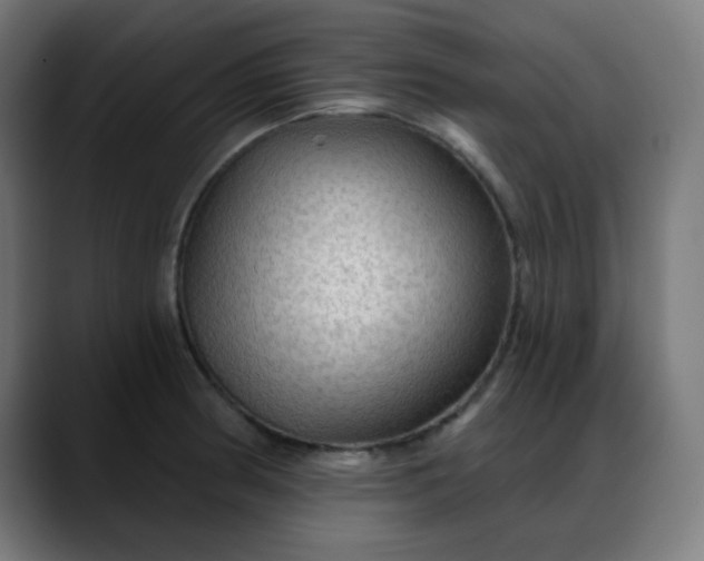 X0000088061186200705251336