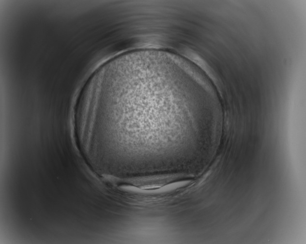 X0000088061187200705251336