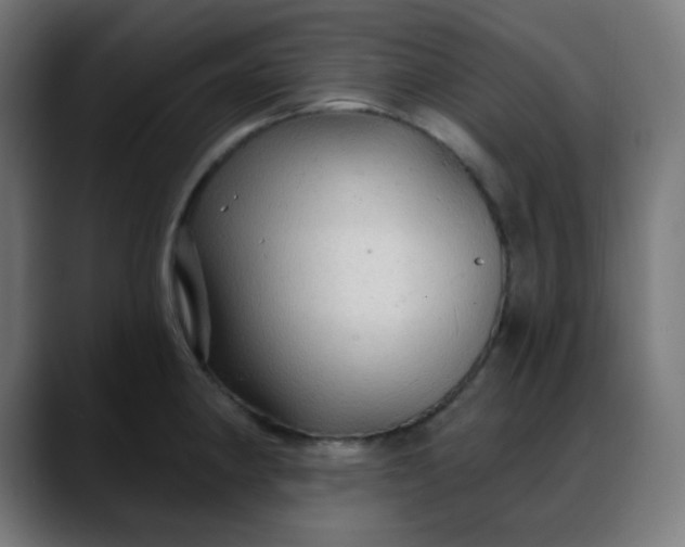 X0000088061190200705251336