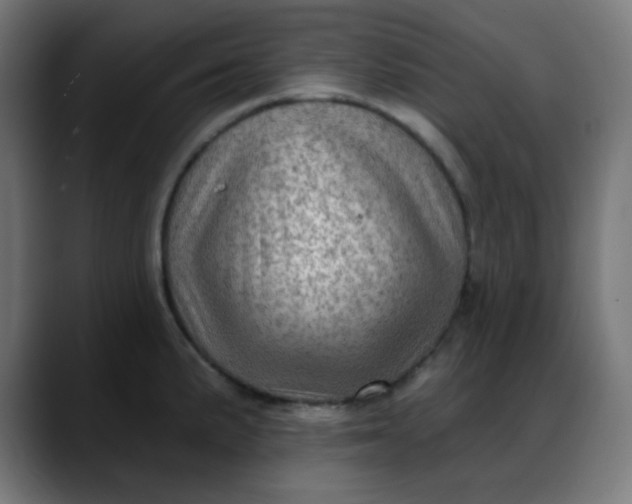 X0000088061191200705251336