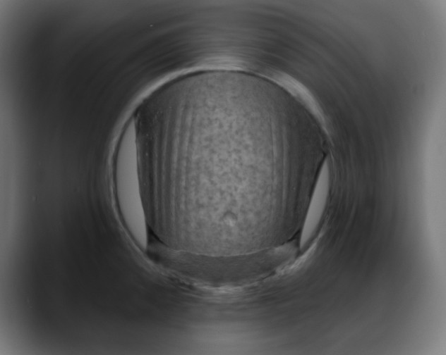 X0000088061192200705251336