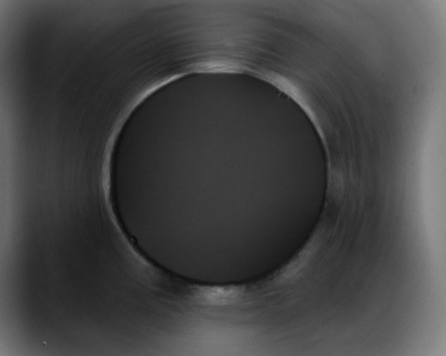 X0000088061195200705251336