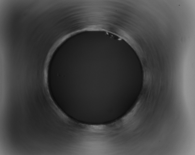 X0000088061196200705251336