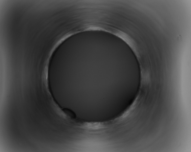 X0000088061198200705251336
