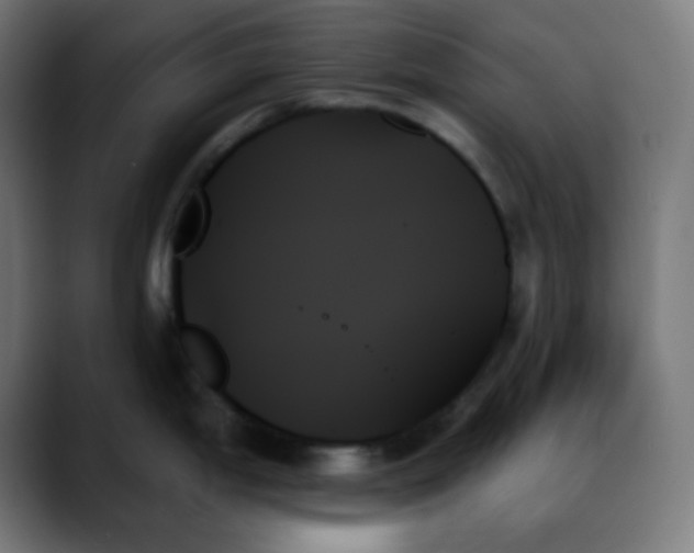X0000088061199200705251336