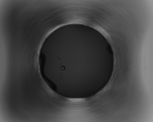 X0000088061200200705251336