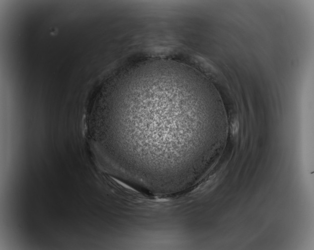X0000088061204200705251335