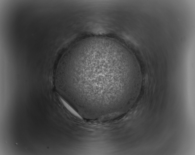 X0000088061205200705251335