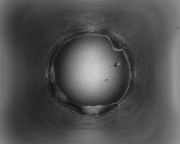 X0000088061206200705251335