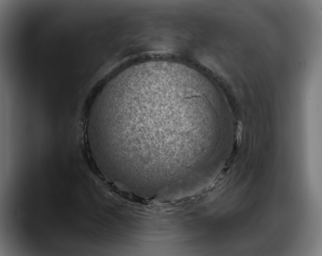 X0000088061208200705251335