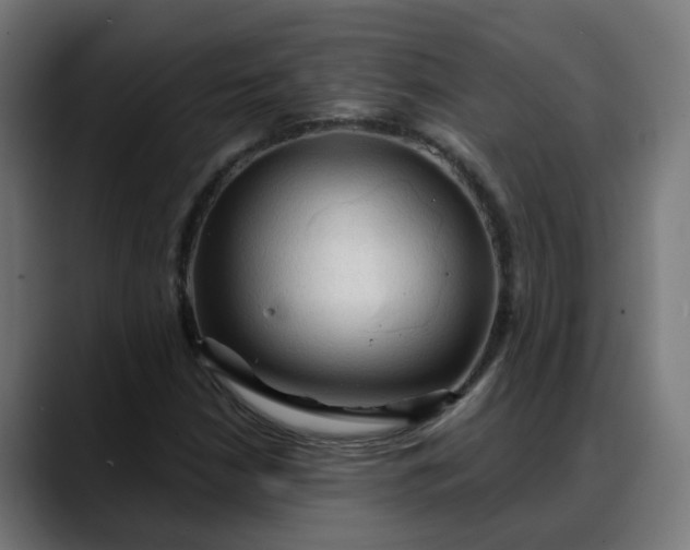 X0000088061210200705251335