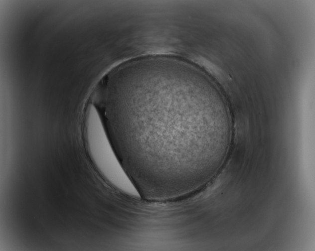 X0000088061212200705251335