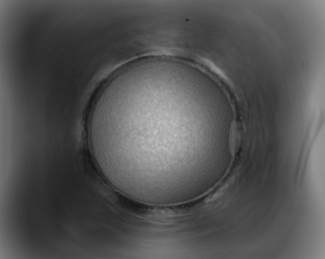 X0000088061215200705251336