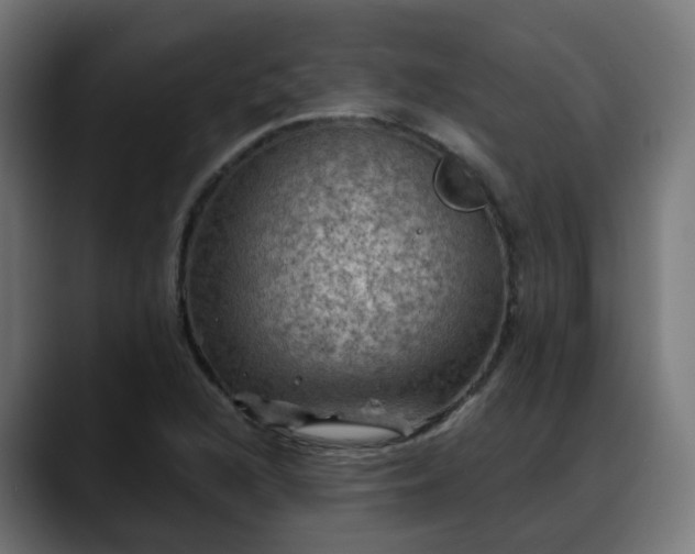 X0000088061216200705251336