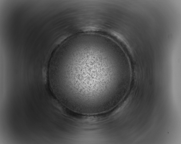 X0000088061217200705251336