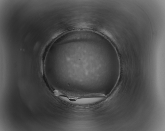 X0000088061219200705251336