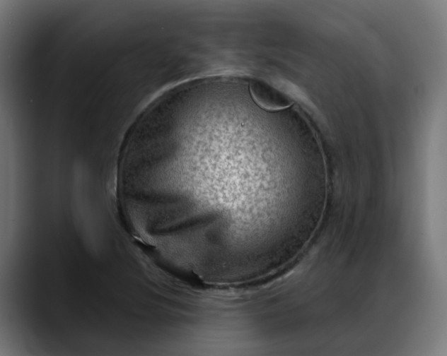 X0000088061220200705251336