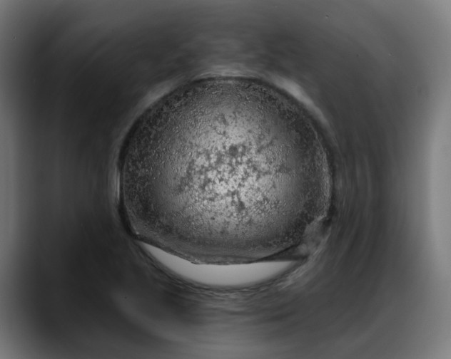 X0000088061221200705251336