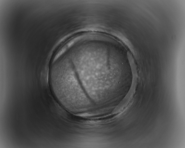 X0000088061224200705251336