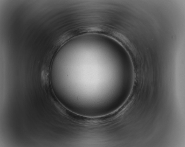 X0000088061225200705251336