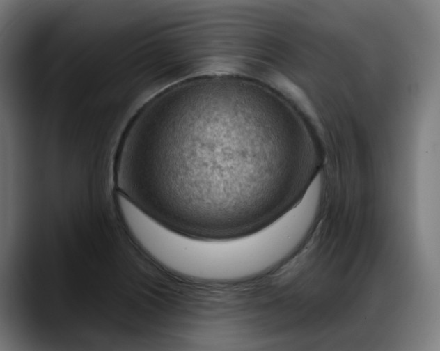 X0000088061226200705251336