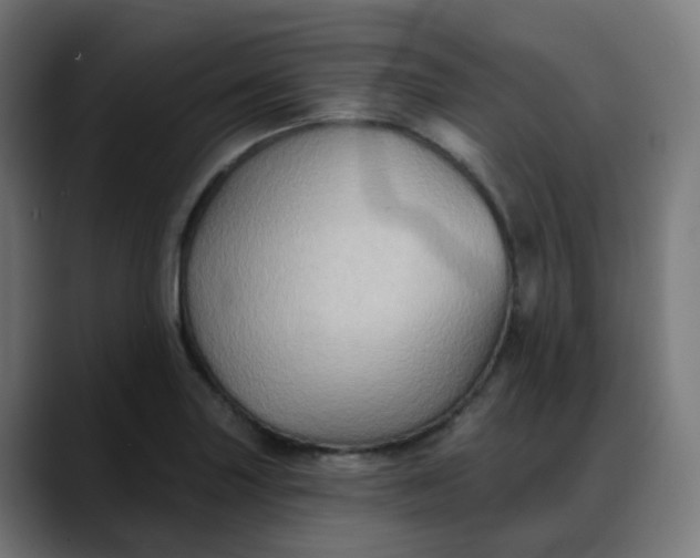 X0000088061227200705251336