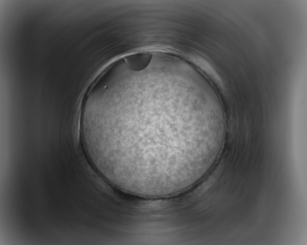 X0000088061228200705251336