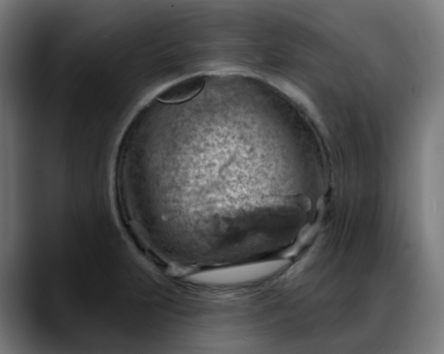 X0000088061231200705251336