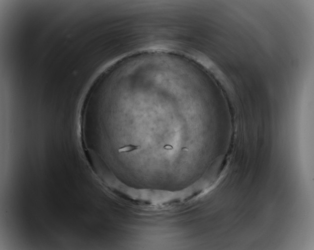 X0000088061232200705251336