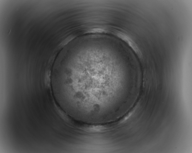 X0000088061233200705251336