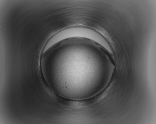 X0000088061234200705251336