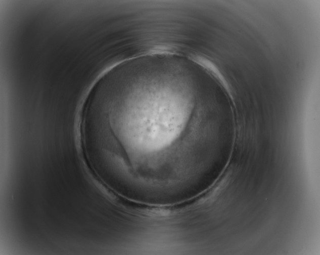 X0000088061235200705251336