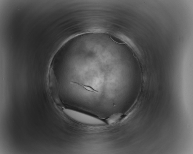 X0000088061236200705251336